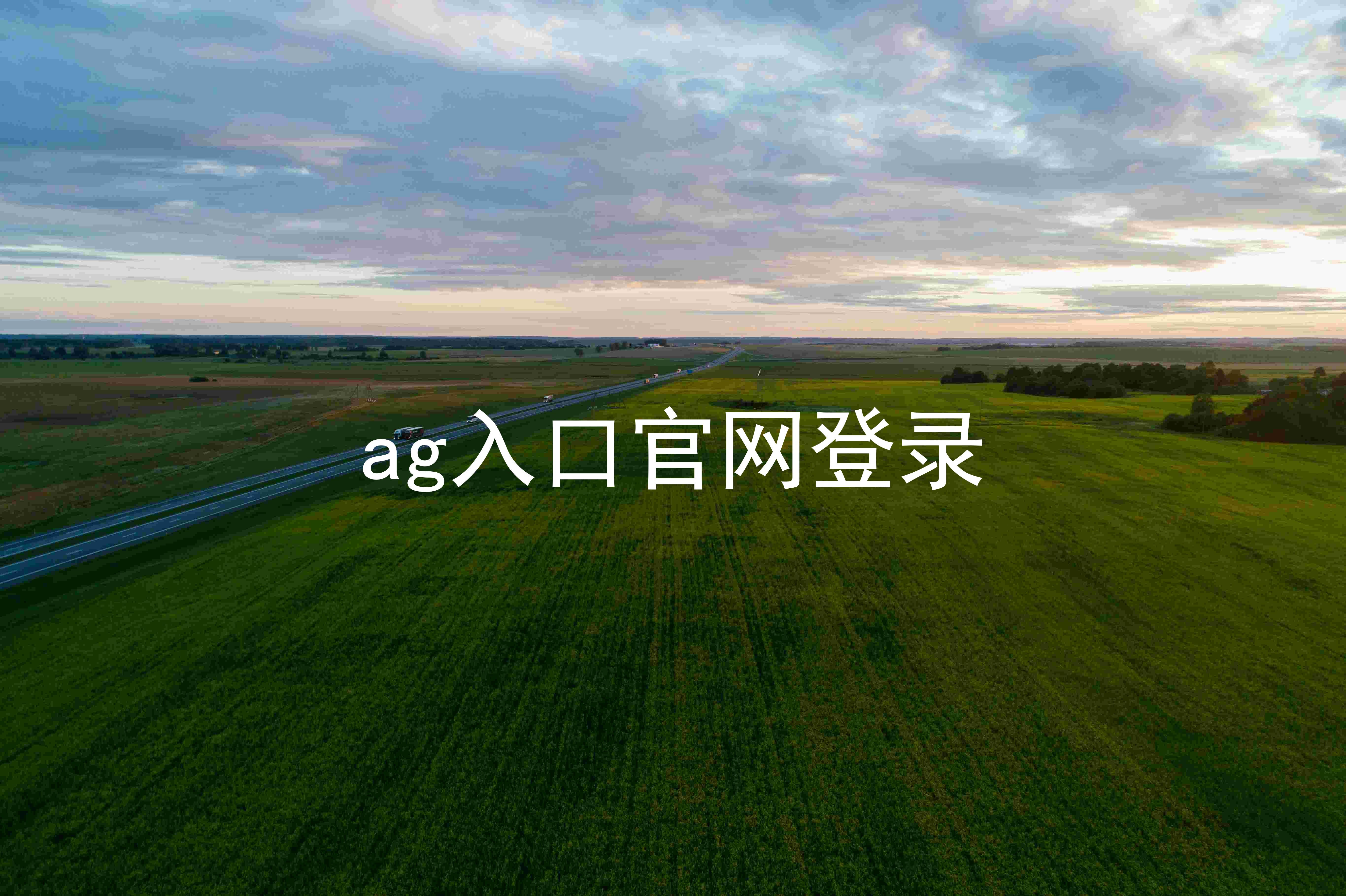 ag入口官网登录
