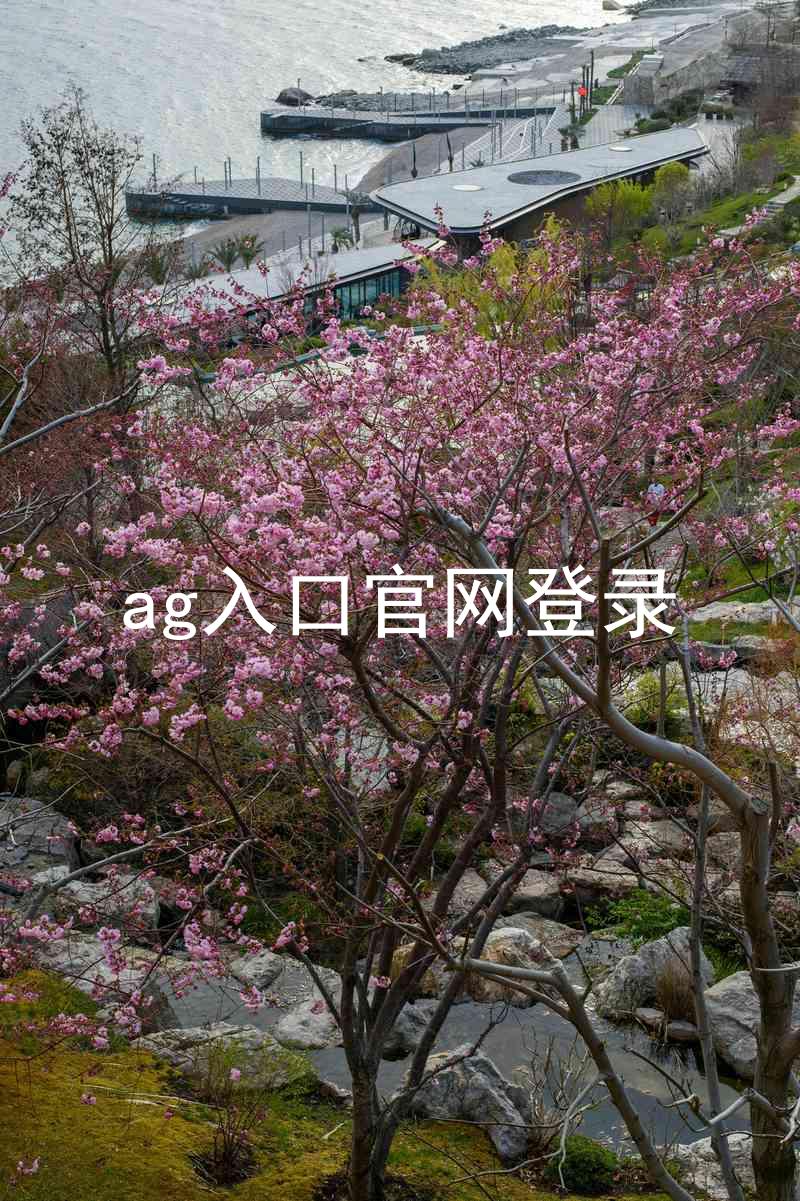 ag入口官网登录